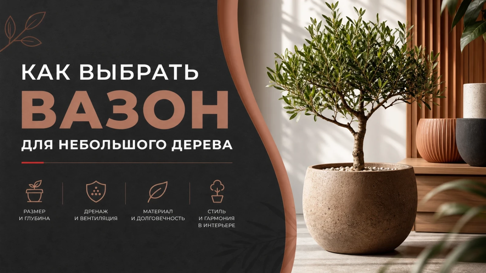 Как выбрать вазон для небольшого дерева