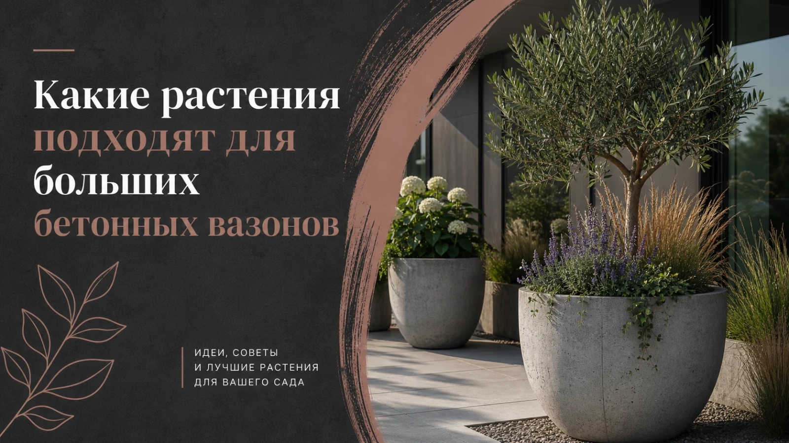 Какие растения подходят для больших бетонных вазонов