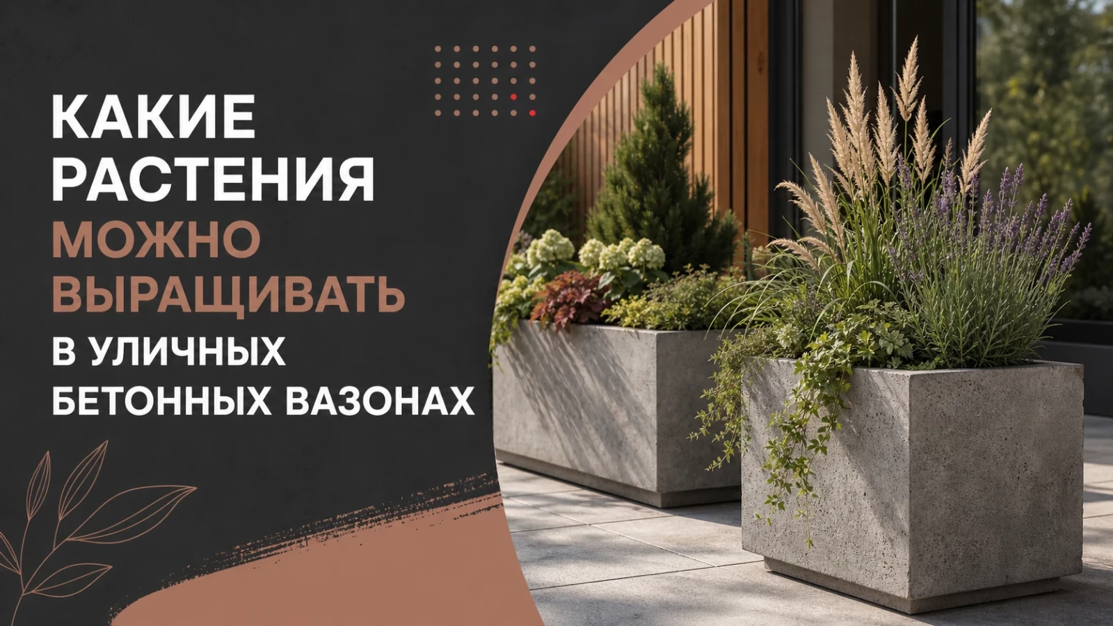 Какие растения можно выращивать в уличных бетонных вазонах