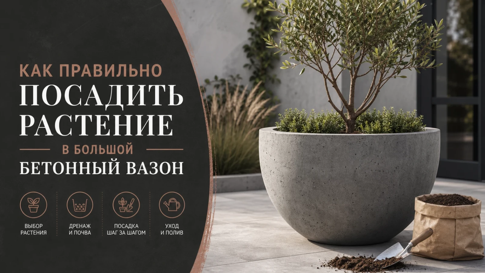 Как правильно посадить растение в большой бетонный вазон