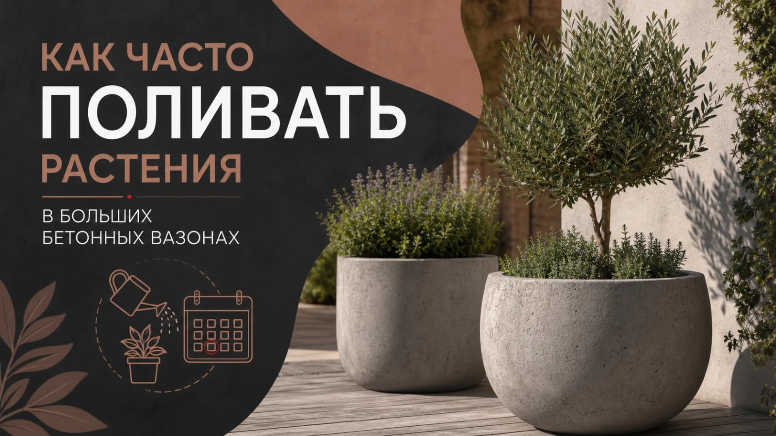 Как часто поливать растения в больших бетонных вазонах